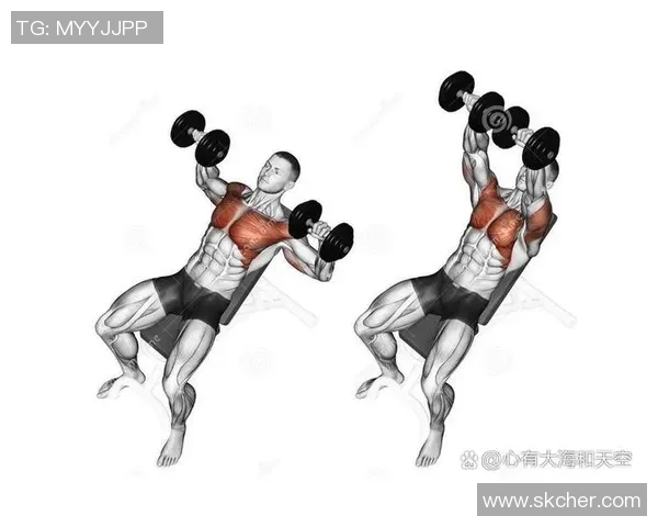 哑铃训练胸肌的最佳动作推荐与详细解析技巧